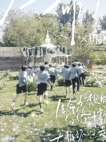 TF三代群像：成名在望