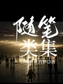 随笔类集