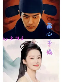 藏心于婉