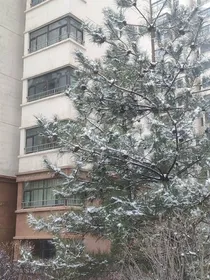 sdfj：我的成长路上的点点回忆