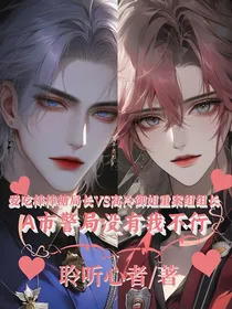 A市警局没有我不行