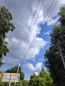 痛苦生长根