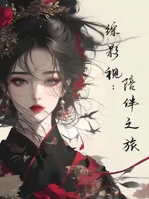 综影视：陪伴之旅