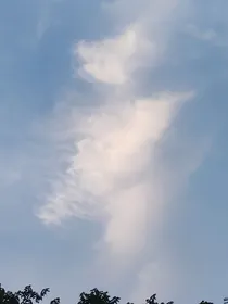 昨夜梦回千秋重