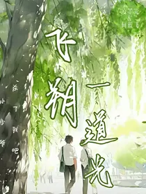 飞朔一道光