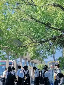 同人文（小说）