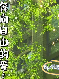 奔向自由的光