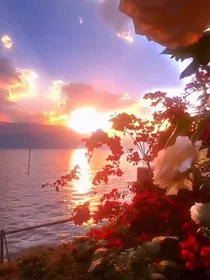 蜜橘日记