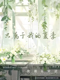 只属于我的夏季