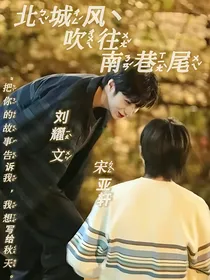 文轩：北城风吹往南巷尾