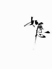 许你所愿