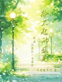 拾不起的盛夏