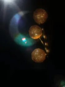 奇奇怪怪de脑洞集合