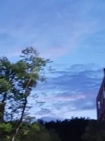 月光唯你
