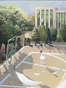 情随风起著：楠七