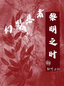 幻影忍者：黎明之时