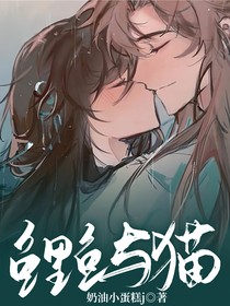 鲤鱼与猫