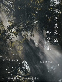 拨开晨雾的那缕光