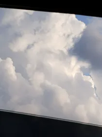 南木向明日