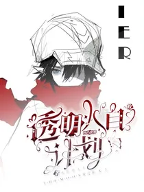 凹凸世界：透明人自救计划