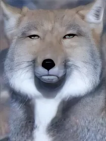肚子饿的时候请不要看