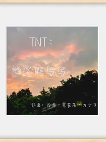 TNT：随笔瞎写写