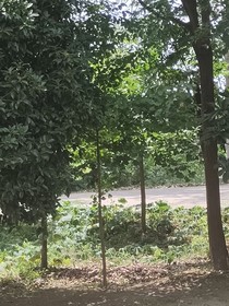 春秋通俗演义