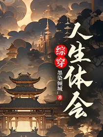 综穿人生体会