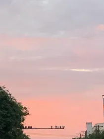 0824系列一