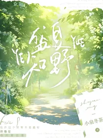 盛夏知野