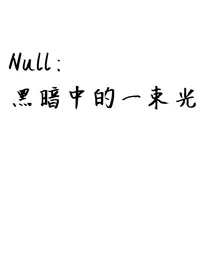 Null：黑暗中的一束光