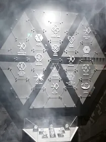 EXO：疯子的世界