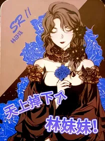 残次品：天上掉下个林妹妹