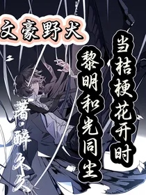 文野：待桔梗花开时，黎明和光同尘