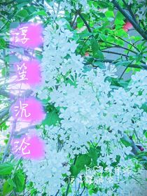 浮笙沉沦