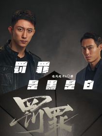 罚罪……是黑是白