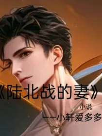 陆北战的妻