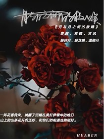 月与月之间的救赎