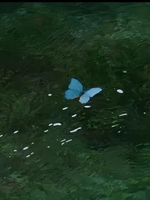 埋葬虚无的永恒