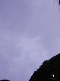园医爽爽爽