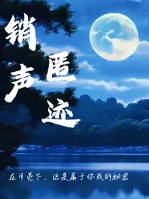 销声匿迹——我们的秘密