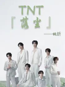 TNT：落尘