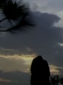 汤猫