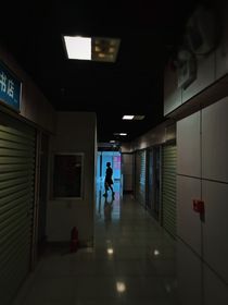 野性的对面