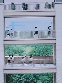 all杨博文：你后悔了？