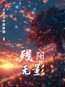斗龙：残阳无影
