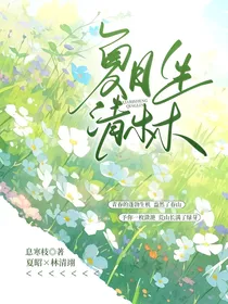 夏日生清林