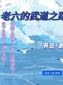 老六的武道之路