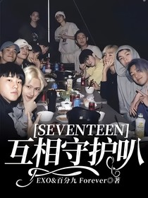 SEVENTEEN：互相守护叭