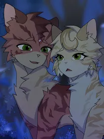 猫武士有手机